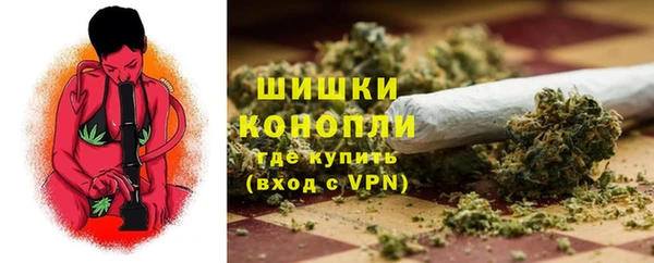 PSILOCYBIN Россошь