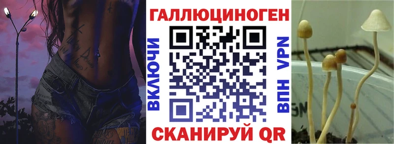 дарк нет официальный сайт  Баймак  Галлюциногенные грибы MAGIC MUSHROOMS  закладки 